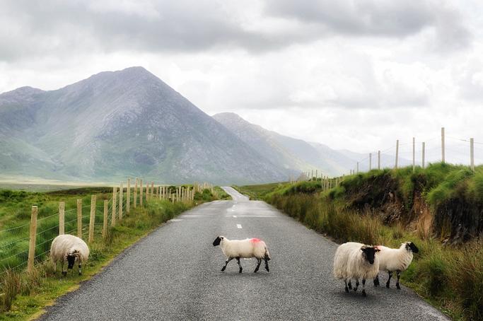 Lough Inagh Lodge Hotel | Connemara | Photo Gallery - 9