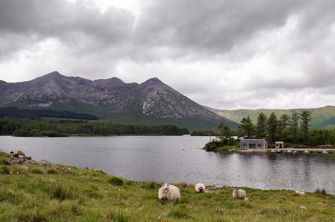 Lough Inagh Lodge Hotel | Connemara | Photo Gallery - 10
