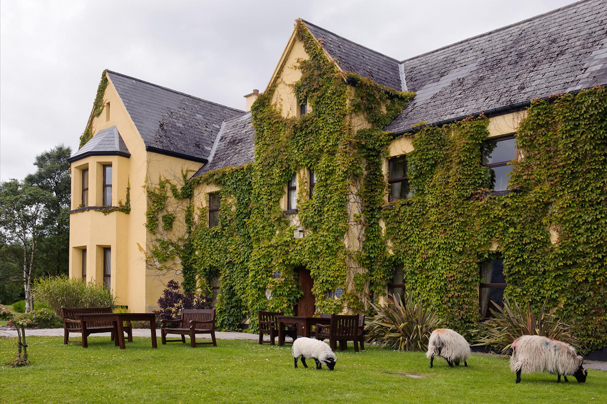 Pet Friendly Lough Inagh Lodge Hotel, Connemara