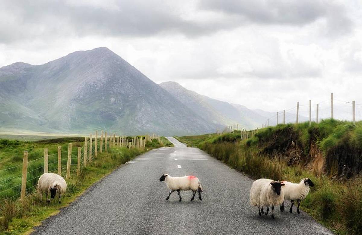 Lough Inagh Lodge Hotel | Connemara | Connemara Garden Package at Lough Inagh Lodge Hotel